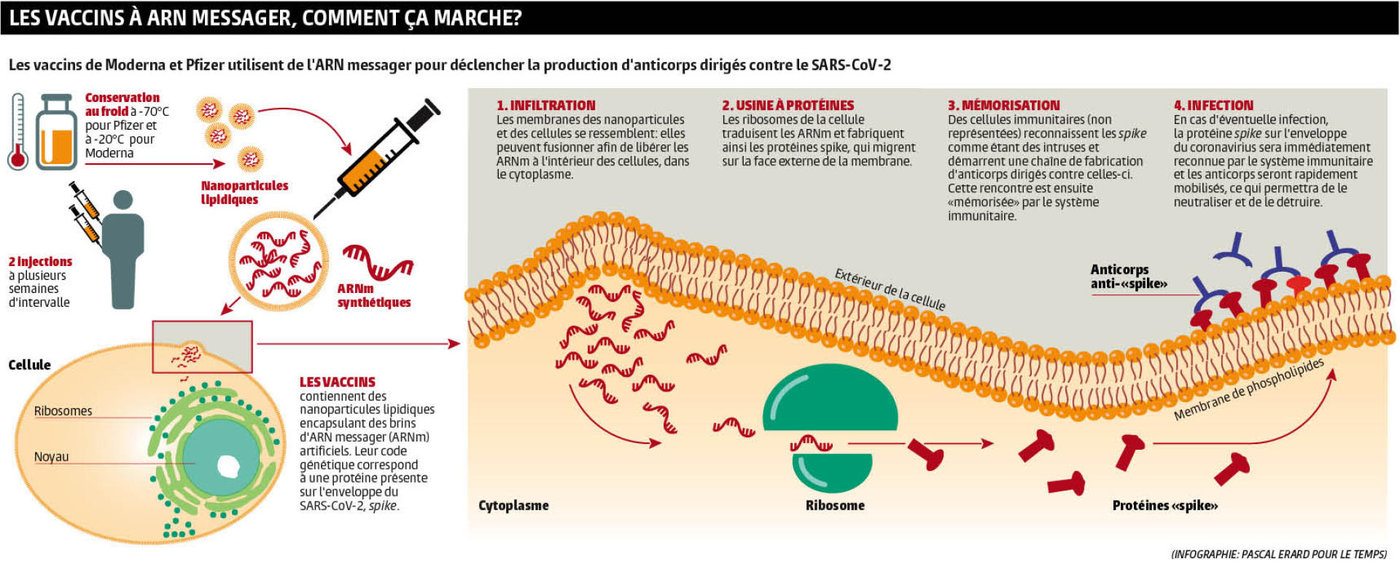 vaccinarnm2021